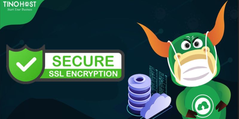 Tinohost - Công ty đăng ký SSL chuẩn quốc tế