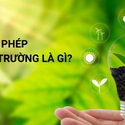 giấy phép môi trường là gì