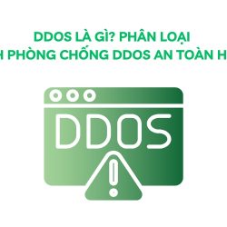 ddos là gì