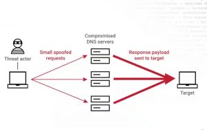 Tấn công DNS Amplification