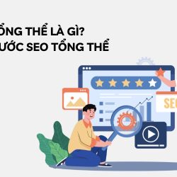 seo tổng thể là gì