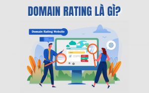 Domain Rating là gì