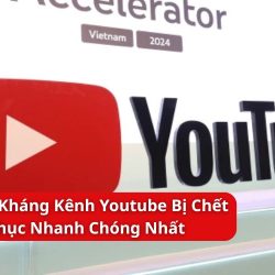 cách kháng kênh youtube bị chết